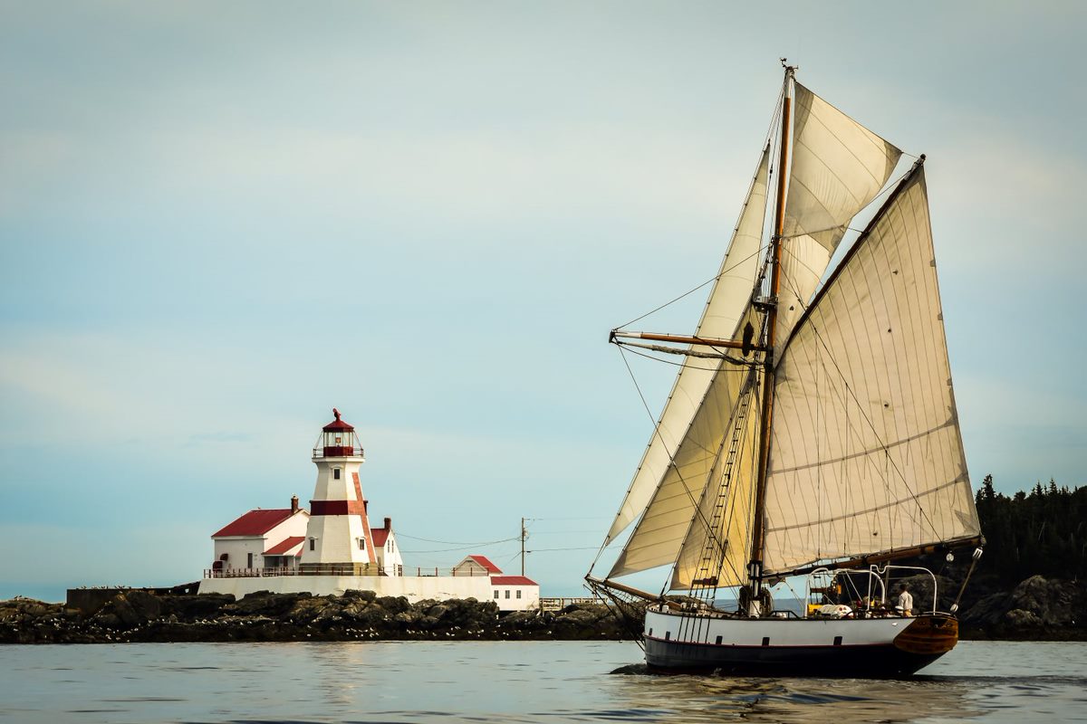 Jolly Breeze Tall Ship and Zodiac Whale Adventures / #ExploreNB